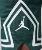 Resim Jordan Sport Dri-Fit Diamond Shorts