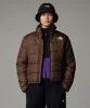 Resim The North Face W Tnf Jacket 2000