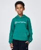 Resim Champion Hooded Sweatshirt