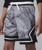 Resim Jordan Sport Dri-Fit Printed Diamond Shorts