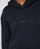 Resim Champion Hooded Sweatshirt