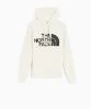 Resim The North Face W Standard Hoodie