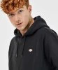 Resim Dickies Oakport Hoodie