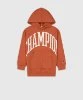 Resim Champion Hooded Sweatshirt