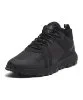 Resim Timberland Low Lace Up Sneaker