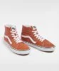 Resim Vans SK8-Hi