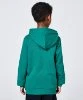 Resim Champion Hooded Sweatshirt