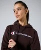 Resim Champion Hooded Sweatshirt