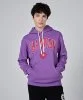 Resim Champion Hooded Sweatshirt