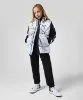 Resim Jordan 2 Fer Jacket