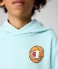 Resim Champion Hooded Sweatshirt