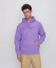 Resim Champion Hooded Sweatshirt