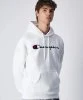 Resim Champion Hooded Sweatshirt