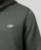 Resim Dickies Oakport Hoodie