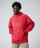 Resim Champion Hooded Sweatshirt