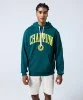 Resim Champion Hooded Sweatshirt