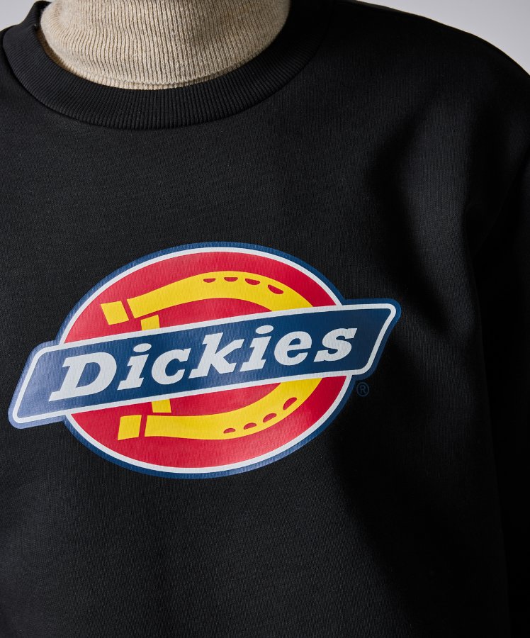 Resim Dickies Icon Logo Sweatshirt