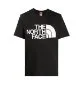 Resim The North Face M Standard Ss Tee