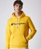 Resim Champion Hooded Sweatshirt