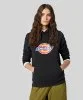 Resim Dickies Icon Logo Hoodie W