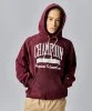 Resim Champion Hooded Sweatshirt