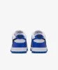 Resim Nike Dunk Low (Gs)