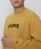 Resim Champion Crewneck Sweatshirt