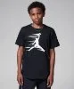 Resim Jordan Mvp Motion Jumpman T-Shirt