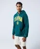 Resim Champion Hooded Sweatshirt