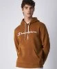 Resim Champion Hooded Sweatshirt