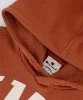 Resim Champion Hooded Sweatshirt