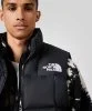 Resim The North Face M Lhotse Vest