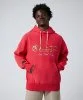 Resim Champion Hooded Sweatshirt