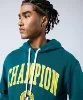 Resim Champion Hooded Sweatshirt