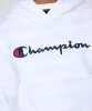 Resim Champion Hooded Sweatshirt