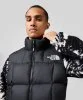 Resim The North Face M Lhotse Vest