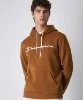 Resim Champion Hooded Sweatshirt