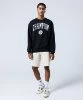 Resim Champion Crewneck Sweatshirt