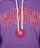 Resim Champion Hooded Sweatshirt