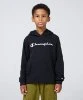 Resim Champion Hooded Sweatshirt