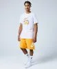 Resim Nike M Nk Club Alumni Hbr Ft Short