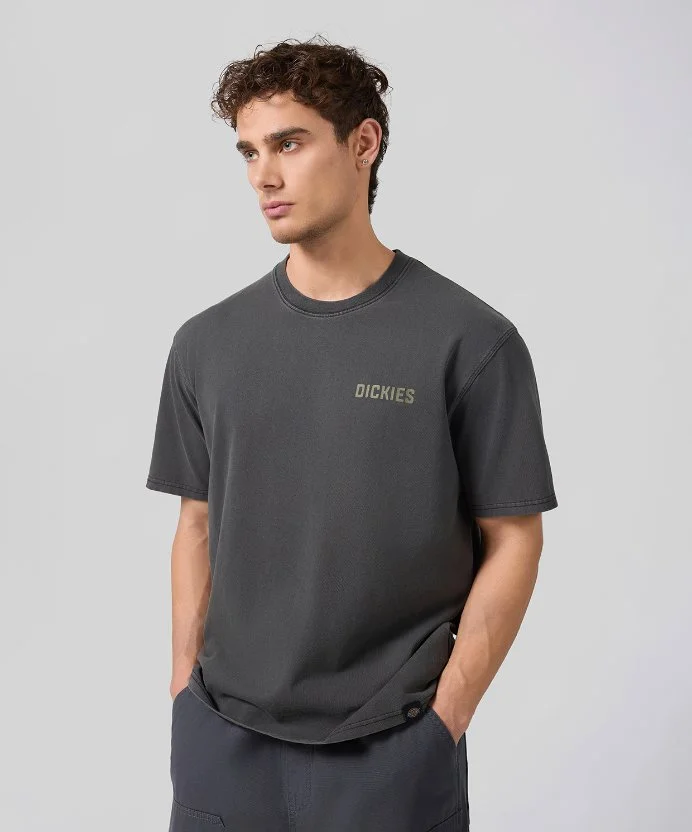 Resim Dickies High Flying Workwear Tee Ss