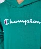 Resim Champion Hooded Sweatshirt