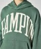 Resim Champion Hooded Sweatshirt