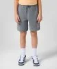 Resim Jordan Brooklyn Fleece Essential Shorts