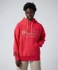 Resim Champion Hooded Sweatshirt