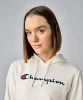 Resim Champion Hooded Sweatshirt