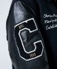 Resim Champion Bomber Jacket