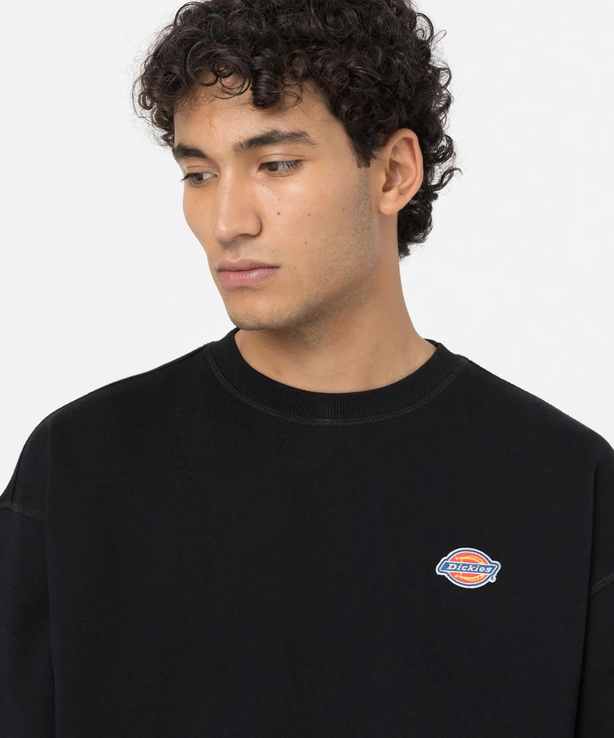 Dickies Millersburg Sweatshirt Sportime