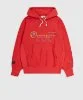 Resim Champion Hooded Sweatshirt